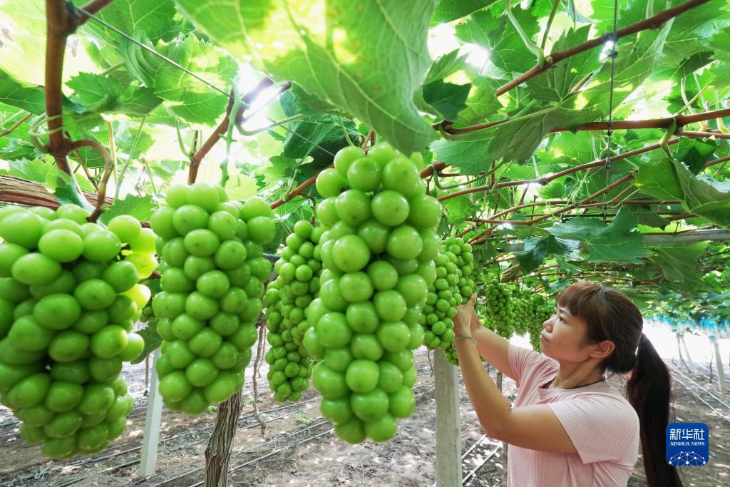 注册送68元现金可提现的游戏